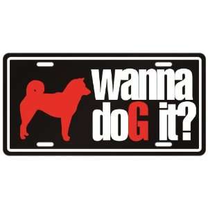 New  Shiba Inus / Wanna Dog It ?  License Plate Dog  