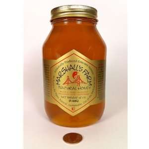 Honey 1 Jar Wild Blackberry   48oz 3lb Grocery & Gourmet Food