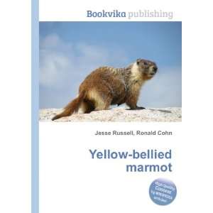 Yellow bellied marmot Ronald Cohn Jesse Russell  Books