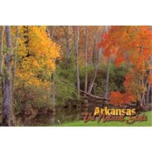   Arkansas Postcard 12158 A Small Creek Case Pack 750 