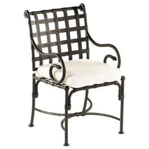  Kross Dining Arm Chair Furniture & Decor