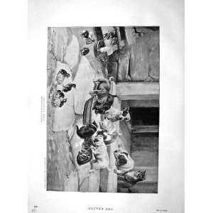   1892 Breakfast Time Trood Kitten Puppies Drinkng Milk