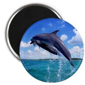  2.25 Magnet Dolphins Singing 