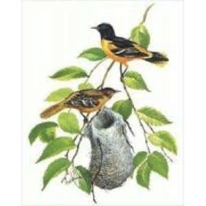  Baltimore Oriole Birds & Nest Counted Cross Stitch Kit 