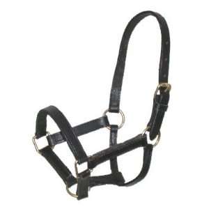  Leather Halter for a Miniature Horse Foal   Brown   Foal 
