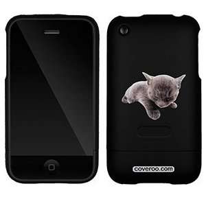  Russian Blue on AT&T iPhone 3G/3GS Case by Coveroo 