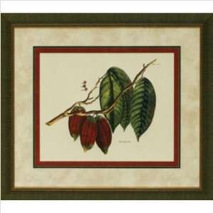 Phoenix Galleries OWP3099 Cacao Tree Framed Print 