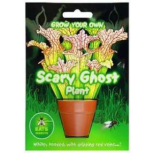  Scary Ghost Plant Toys & Games