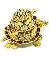 Big Sea Turtle Trinket Box with Austrian Crystals  