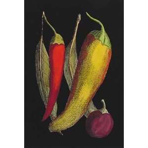  Hot Peppers III Poster Print