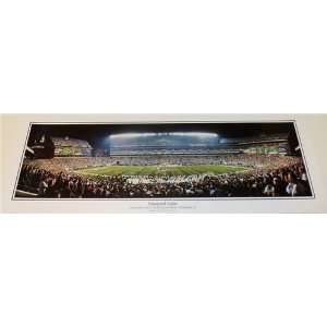   Lincoln Financial Field 13.5 x 39 inch Panoramic Print Sports