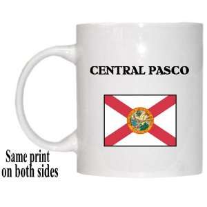  US State Flag   CENTRAL PASCO, Florida (FL) Mug 