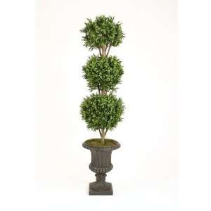  6.5 7 Boxwood 3 Ball Topiary Series