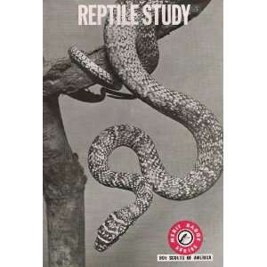   Reptile Study (Merit Badge Series, Reptile Study) Roger Conant Books