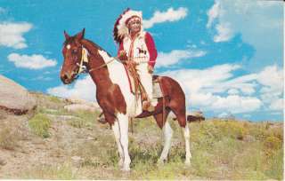 PINTO HORSE POSTCARD INDIAN CHIEF COLORFUL 1959 CIRCA  