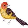 OESD Embroidery Machine Designs CD BACKYARD BIRDS RT  