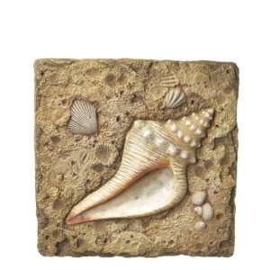  Stepping Stone Conch Shell Case Pack 6   745485 Patio 