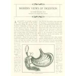  1906 Modern Views of Digestion Stomach Medicine 