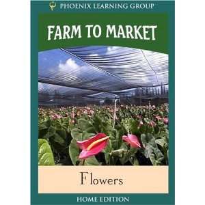  Farm to Market Flowers (Home Use) Movies & TV