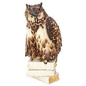  Wonderful pottery owl lamp