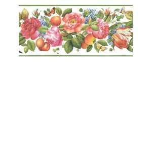   Wallpaper Steves Color Collection Borders BC1582824