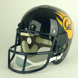 the bears wore the same helmet design as the previous season but the 
