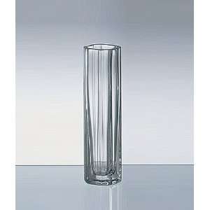 Crystal Vision Tube Vase   10.75 inches by Laura B 