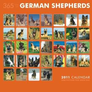   Shepherds 365 Days 2011 Wall Calendar 12 X 12