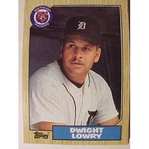  1987 Topps #483 Dwight Lowry