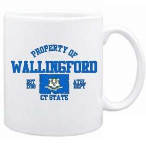 New  Property Of Wallingford / Athl Dept  Connecticut Mug Usa City 
