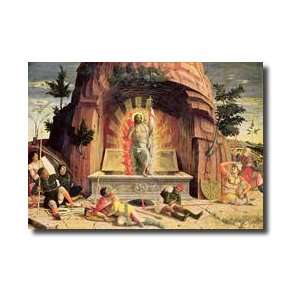   Panel From The Altarpiece Of St Zeno Of V Giclee Print