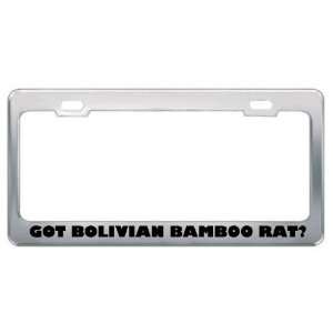 Got Bolivian Bamboo Rat? Animals Pets Metal License Plate Frame Holder 