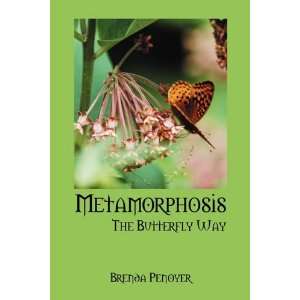  Metamorphosis The Butterfly Way (9781432762025) Brenda 