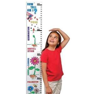  Color Me Butterfly Life Cycle Jumbo Learn N Grow Craft 