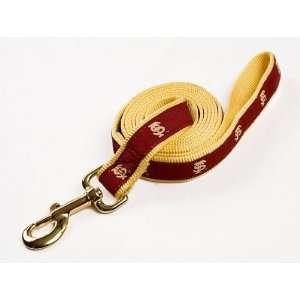 Officially Licensed Florida State Seminoles Dog Leash Size Small 