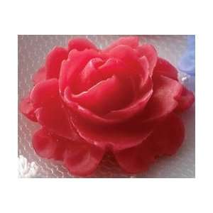 Websters Pages Roses In Bloom Whimsies Non Adhesive Embellishments 6 
