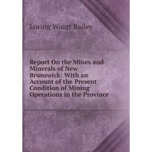  Report On the Mines and Minerals of New Brunswick With an 