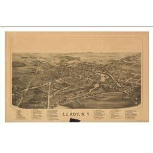 Historic LeRoy, New York, c. 1892 (L) Panoramic Map Poster Print 