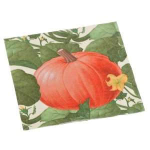   Pumpkin Patch 2 Paper Lunch Napkin Package, Ivory