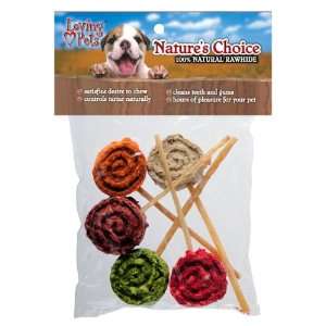    Loving Pets Natures Choice 5 Pack Rawhide Lollipops