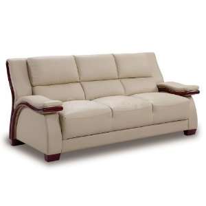   Global Furniture A167 Cappuccino Modern Sofa A167 S Furniture & Decor