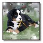   LLC Dogs Bernese Mountain Dog   Bernese Mountain Dog   Wall Clocks