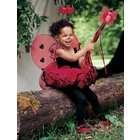   Paradise Ladybug Toddler / Child Costume / Black/Red   Size Small (6