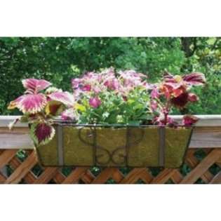 Iron Railing Planters  