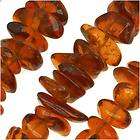 Baltic Amber Large Chip Beads 7 11mm 16 Inch Strand