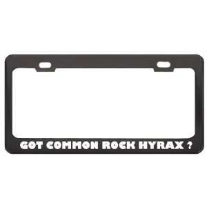 Got Common Rock Hyrax ? Animals Pets Black Metal License Plate Frame 