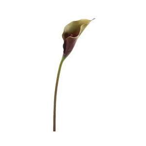  Faux 28.5 Calla Lily Stem Green Burgundy (Pack of 12 