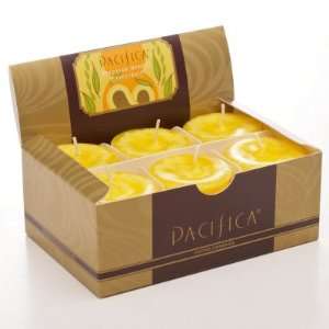  Pacifica Brazilian Mango Grapefruit Votive Six Pack 