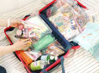 Travel Luggage Suitcase Packing Organizer 16 pcs Zipper Bags Kit 