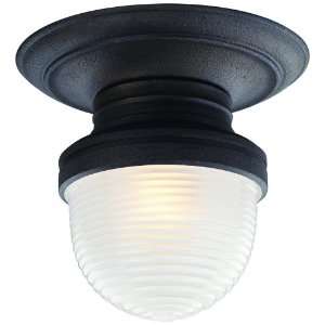  Beaumont Collection 11 1/2 Wide Outdoor Ceiling Light 